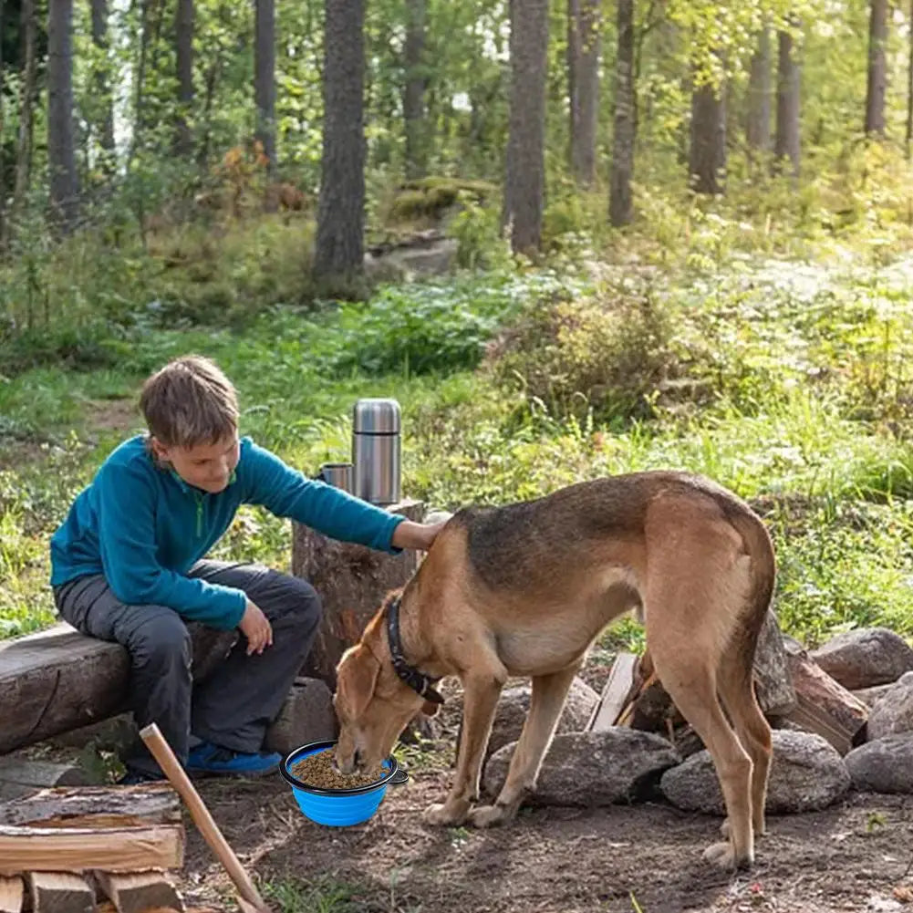 Collapsible Dog Bowls with Lid and Carabiner