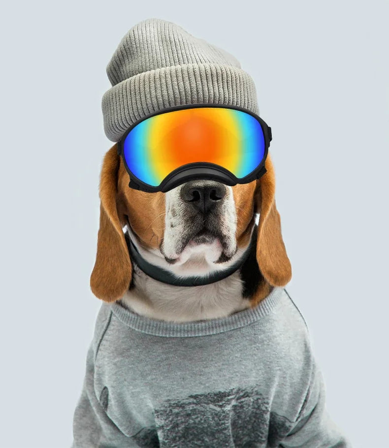 Dog Goggles - UV Protectant