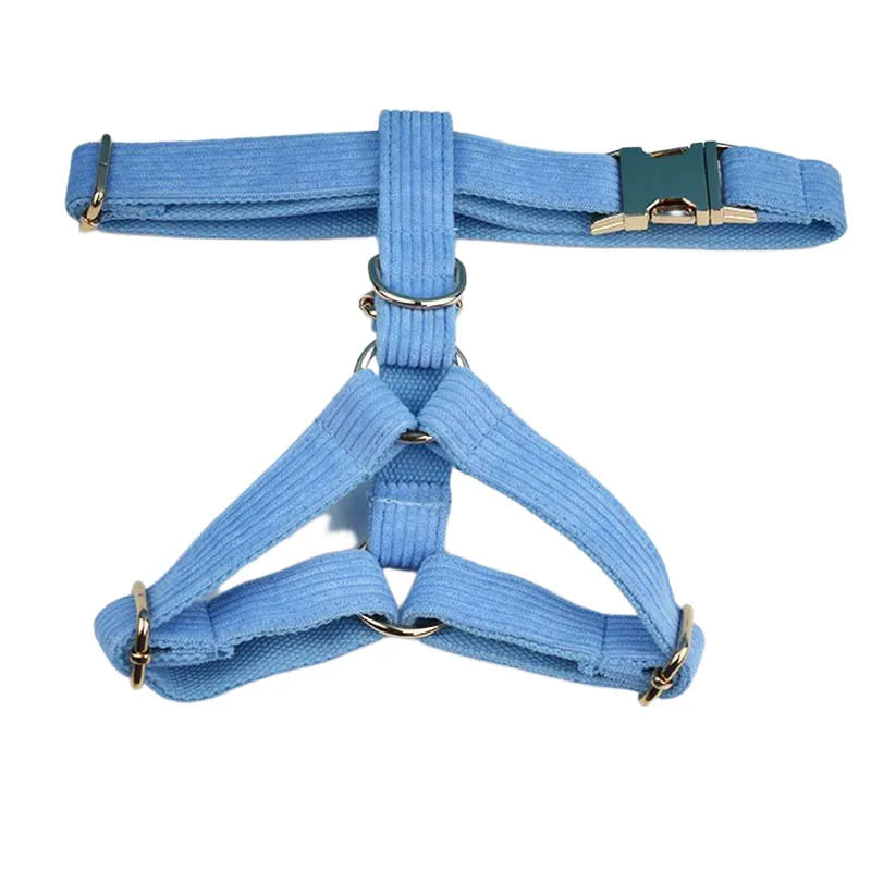 Luxury Sky Blue Corduroy 5 Piece Set for Dogs