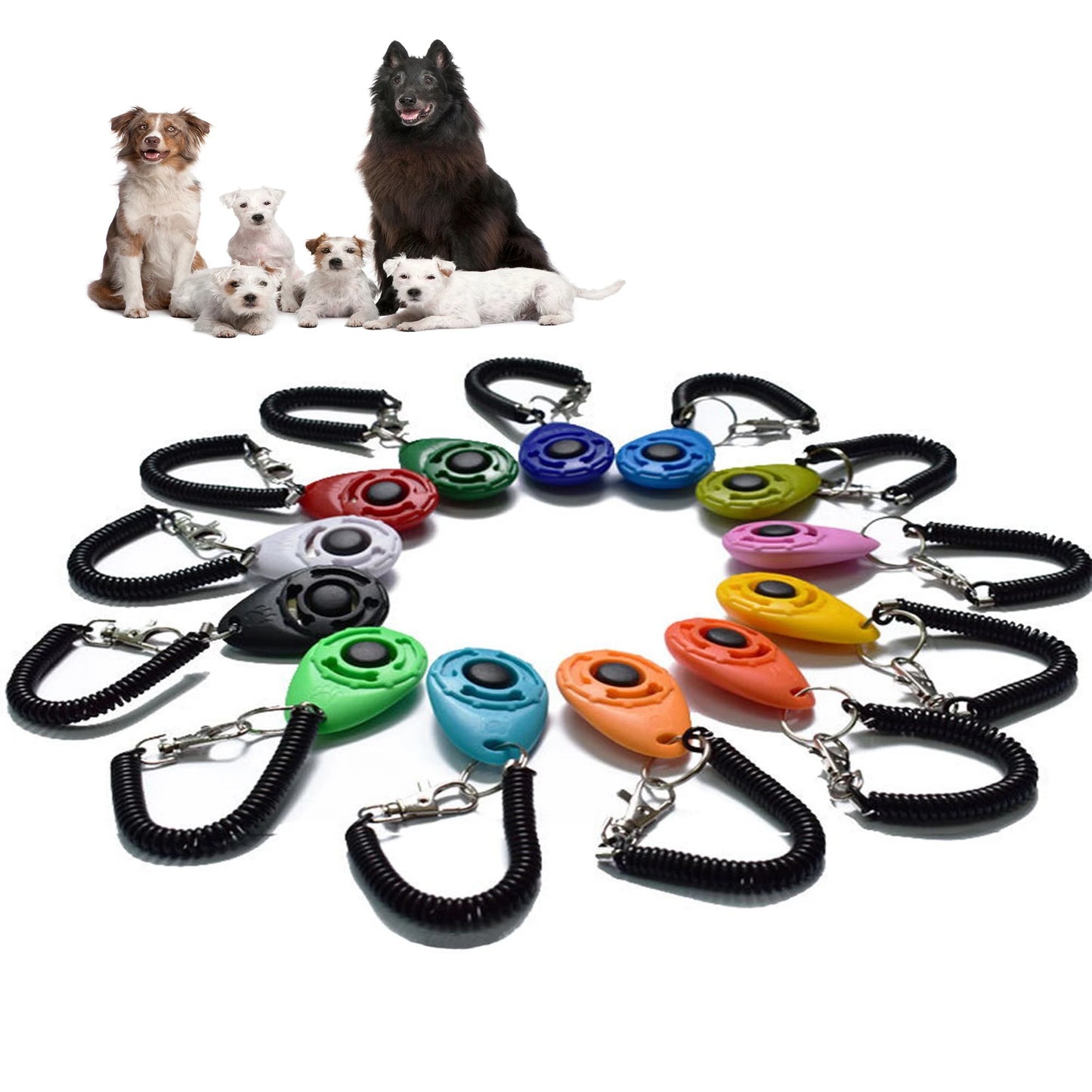 Dog Training Clicker with Keychain