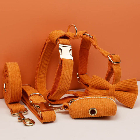 Luxury Orange Corduroy 5 Piece Set for Dogs